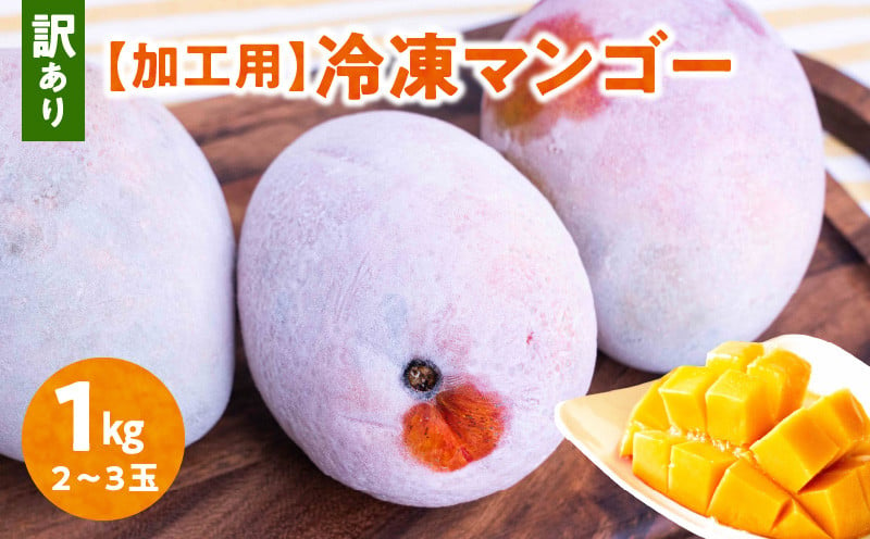 2025年先行予約】「訳あり」加工用冷凍マンゴー1kg（2～3玉）/沖永良部島産 W009-078u - 鹿児島県和泊町｜ふるさとチョイス -  ふるさと納税サイト