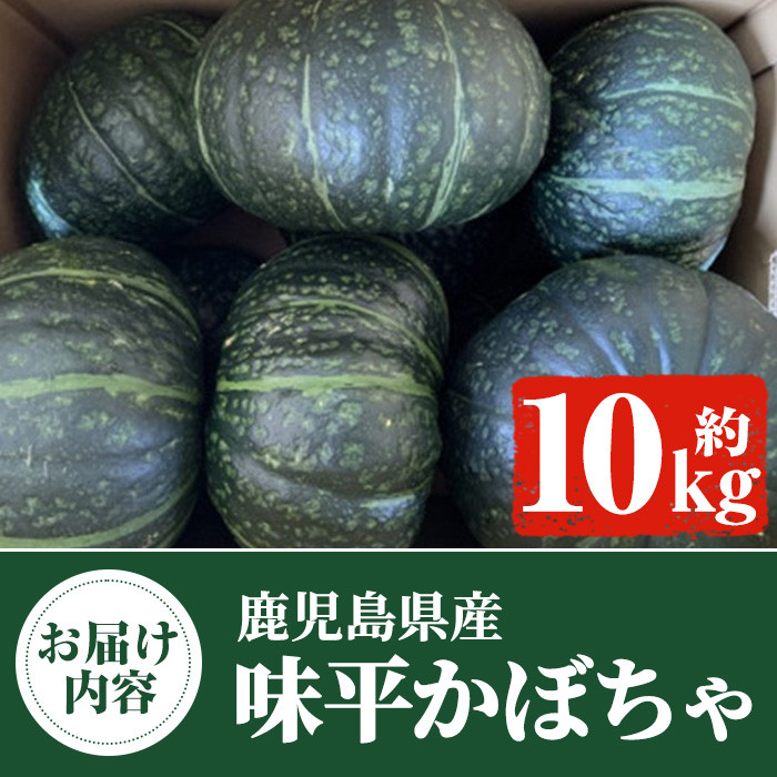 ＜先行予約受付中！2024年5月より順次発送＞鹿児島県産 味平かぼちゃ(約10kg) 国産 野菜 かぼちゃ カボチャ 南瓜 煮物 天ぷら バーベキュー  BBQ スイーツ お菓子【松永青果】33-8 - 鹿児島県阿久根市｜ふるさとチョイス - ふるさと納税サイト