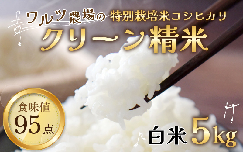 ／　福井県産　クリーン精米　精米　発送直前　あわら市産　無洗米相当　福井県あわら市｜ふるさとチョイス　お米　甘味　ブランド米　つや　...　ご飯　艶　特別栽培米【驚きの食味値95点！納得の美味しさ】減農薬　5kg　令和5年産】ワルツ農場のコシヒカリ　旨み　有機肥料使用　白米