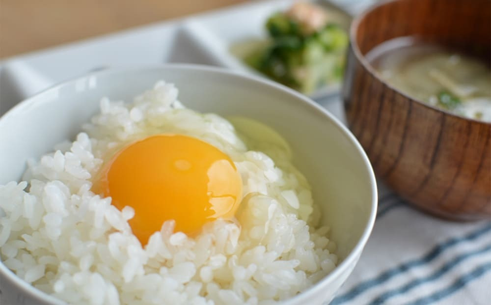 えこびと農園平飼い鶏のえごまたまご 40個入り(H037130)