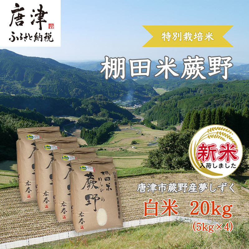 令和5年産棚田で育った特Aさがびより3キロ 【お試し価格！】 - 米