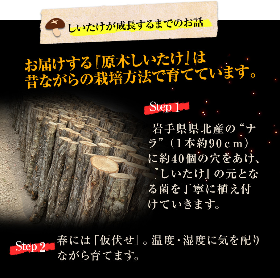 ふるさと納税 岩手県 矢巾町 2024年2月発送 希少！原木しいたけ「生