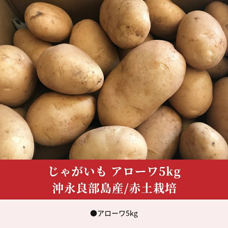 ホッカイコガネS １０キロ 沖永良部島産 - 野菜