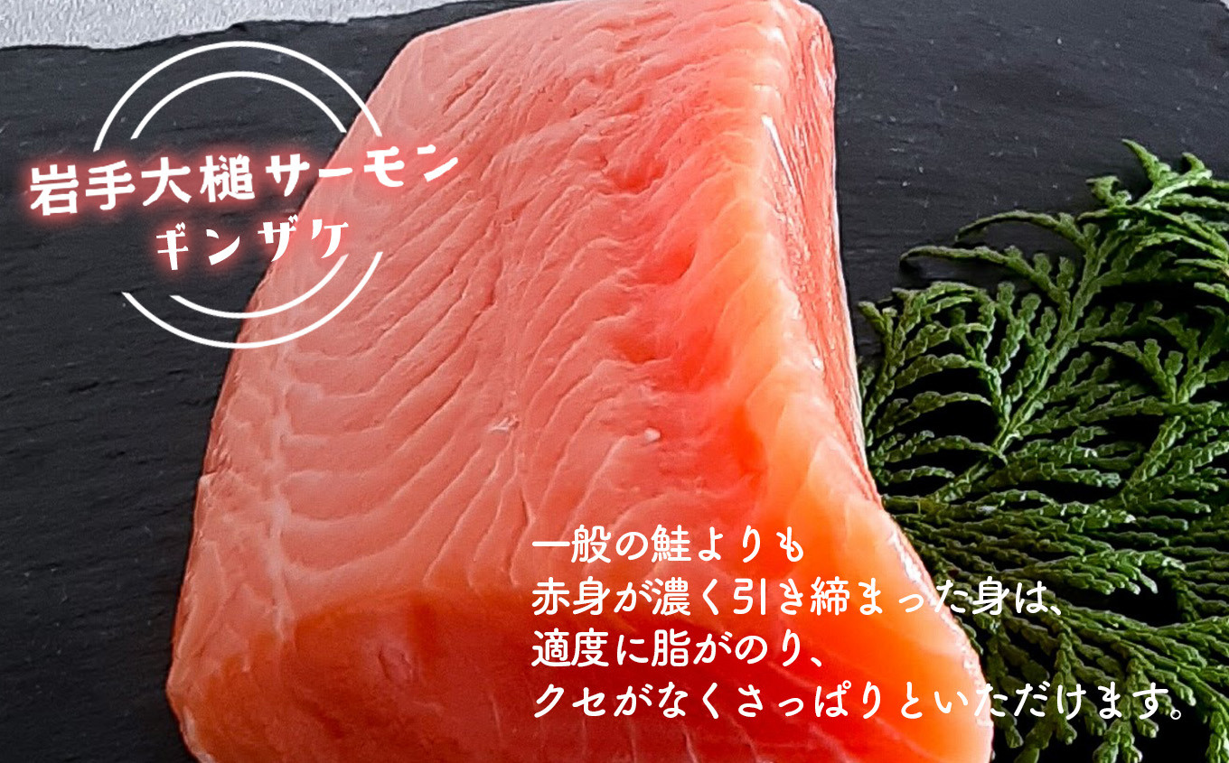 岩手大槌サーモン ～家族とみんなで。～ 800g｜サーモン国産 刺身 刺身冷凍 小分け サーモン 冷凍 岩手県大槌町 - 岩手県大槌町｜ふるさとチョイス  - ふるさと納税サイト