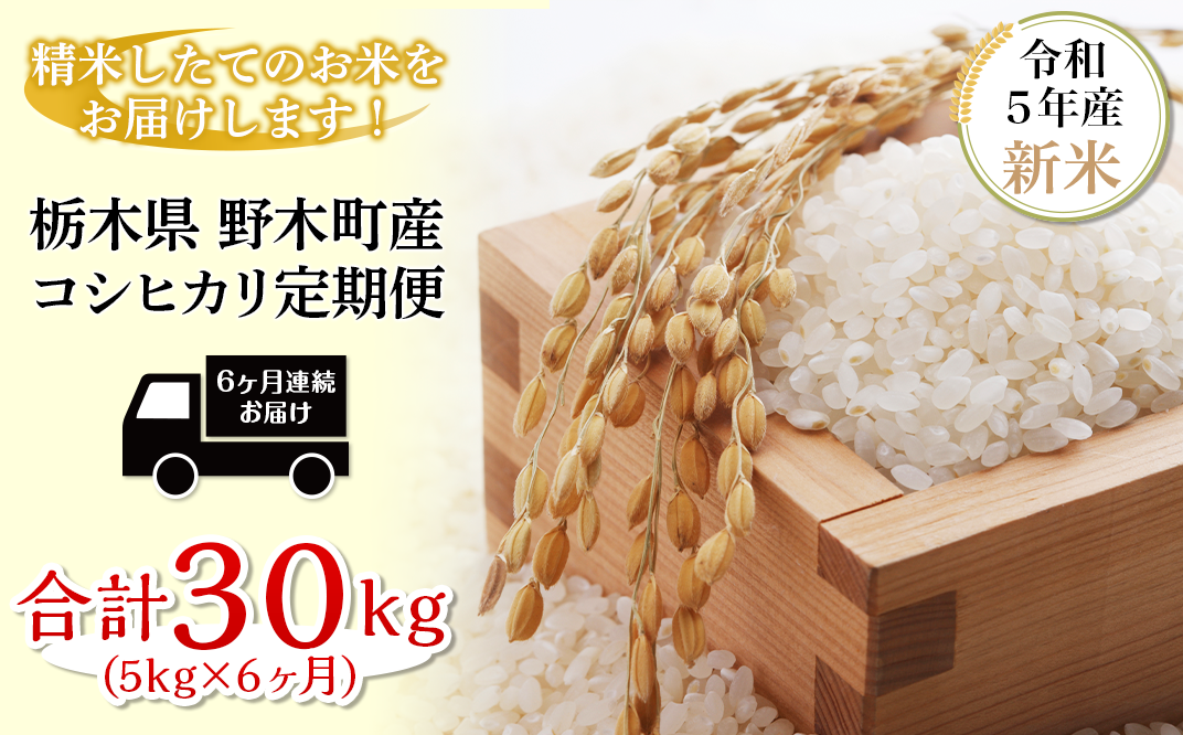 栃木コシヒカリ玄米　食品　30キロ　8000