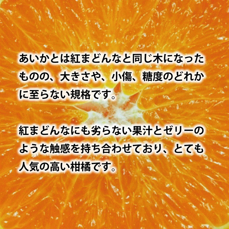 愛媛県産!!愛果28号(特選樹上完熟) L～2L 空島まどんな - 果物