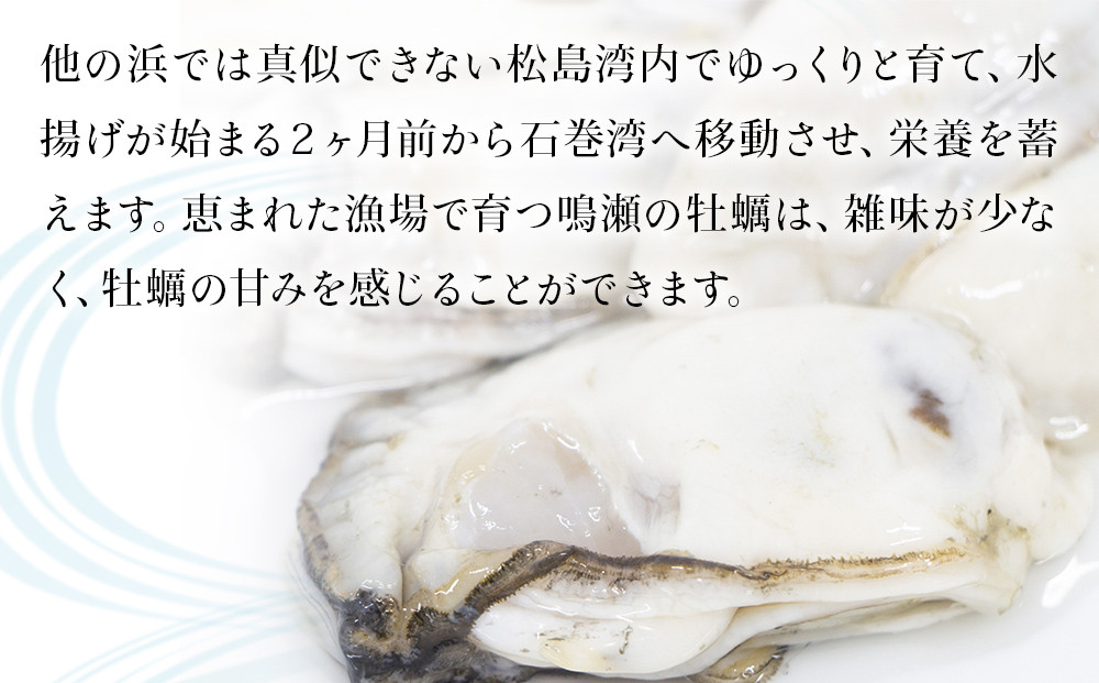 宮城県 奥松島産 鳴瀬かき 生食用 600g【到着日指定必須！】 牡蠣 かき カキ 生かき 生牡蠣 生牡蛎 むき身