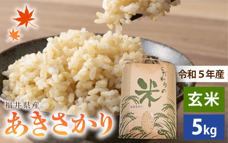 e30-a043] あきさかり 5kg 令和5年 福井県産 コシヒカリ系統品種【玄米