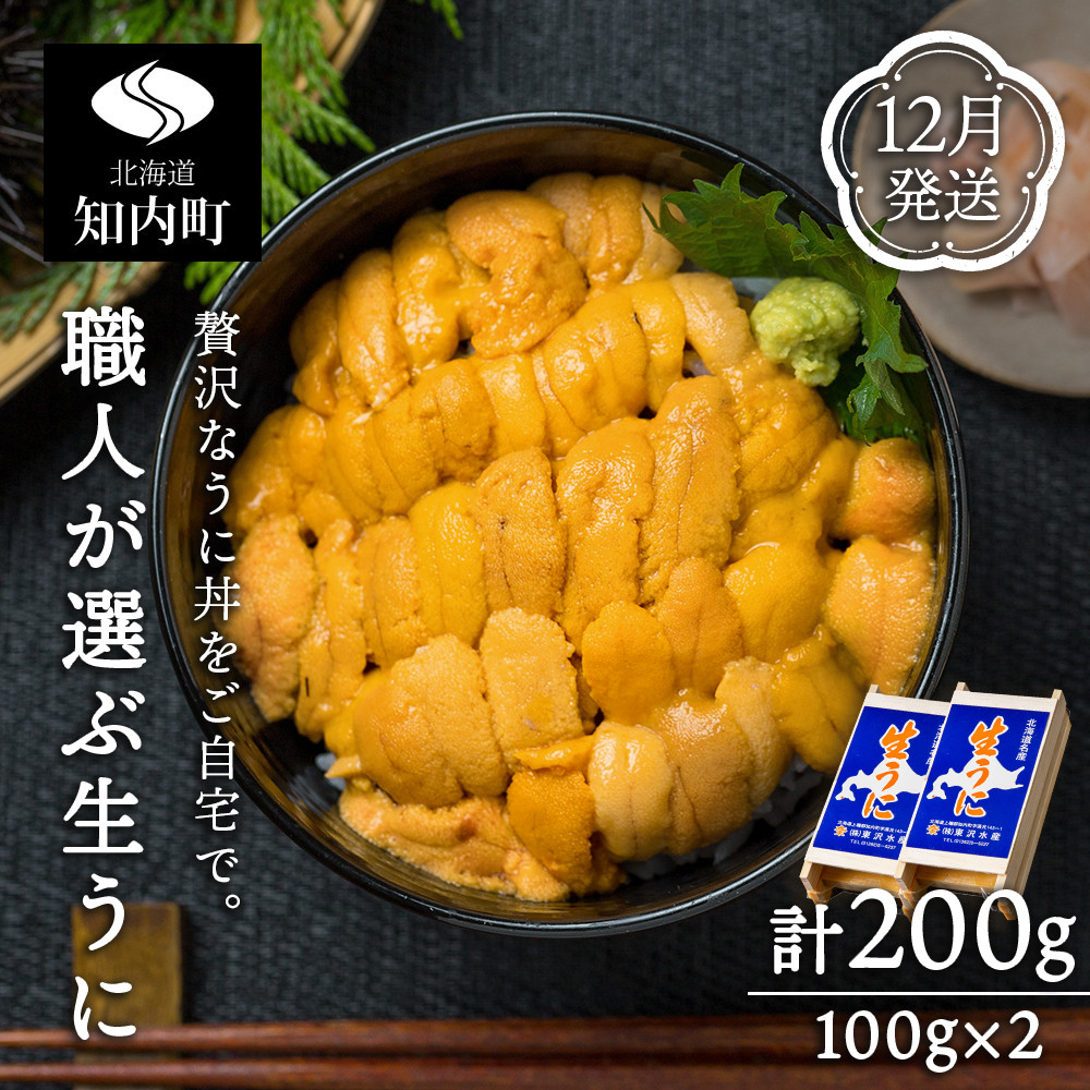 2023年12月発送】極上生うに 100g×2 ウニ 折詰 ムラサキウニ 北海道産