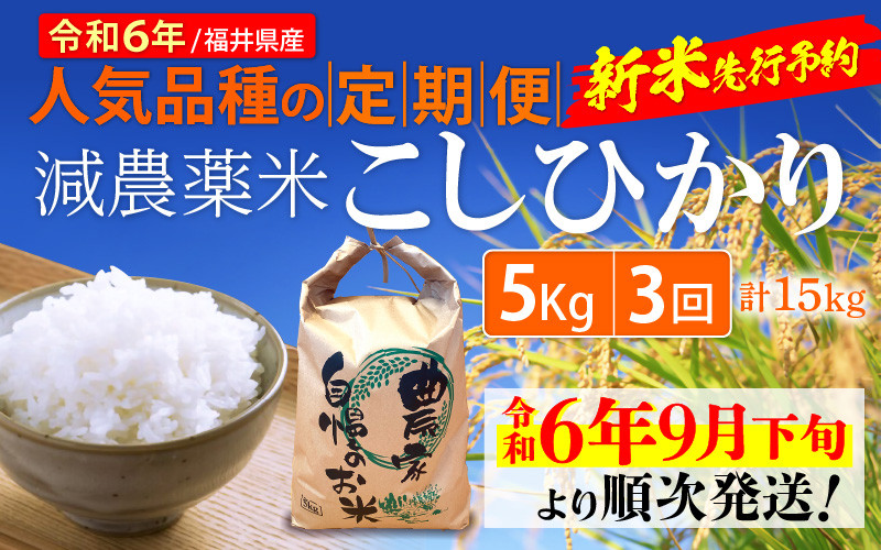 令和6年産新米・先行予約】定期便 ≪3ヶ月連続お届け≫ 減農薬米