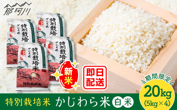特別栽培米 かじわら米 計20kg（5kg×4）＜農事組合法人かじわら＞白米 米 [GAI005]