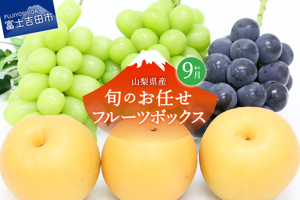 【9月配送】旬のお任せフルーツボックス シャインマスカット 山梨県産 桃 果物 くだもの 先行予約 2024年 高級 旬 フルーツ果物 フルーツ  くだもの 果実 フルーツ王国 旬 フルーツ フルーツ 旬 山梨県 シャインマスカット フルーツ マスカット 果実 フルーツ 高級 くだもの 2024年 