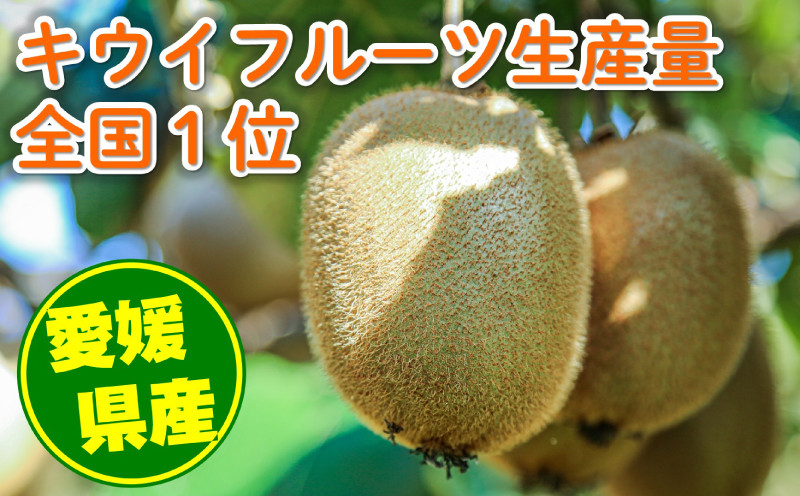 個別注文用 キウイフルーツ 野菜 プロフィールご覧下さい！また取れ