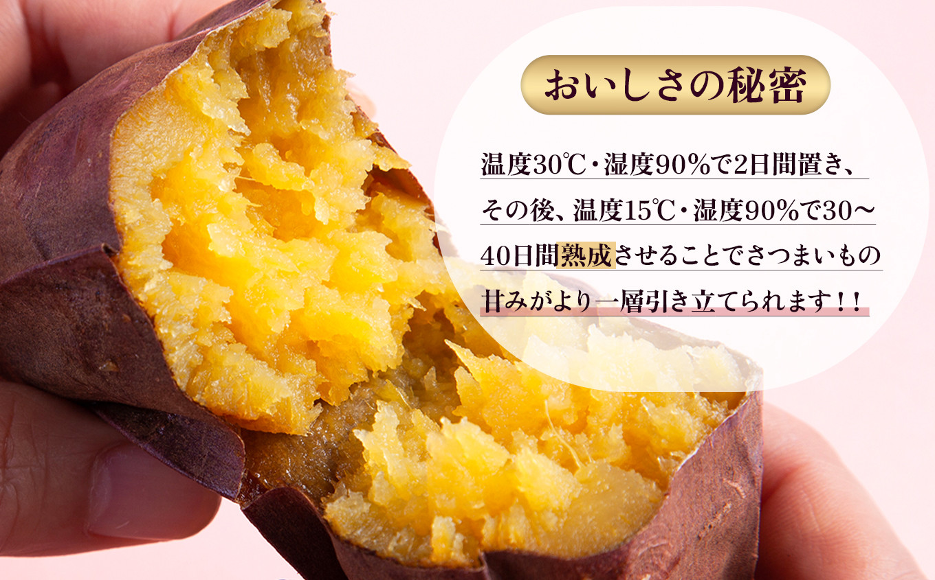 *ねっとり濃厚 熟成さつまいも「壺焼き芋」4本入【とざわさん家のいちご】　焼き芋 やきいも サツマイモ さつまいも 芋 蜜芋 壷 壺焼き つぼ焼き  秋田県 秋田 あきた 鹿角市 鹿角 かづの 4本 冷蔵