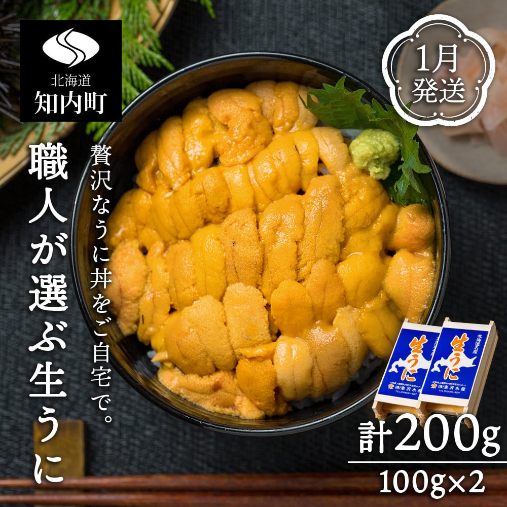 ふるさと納税 先行予約 うに 塩水 ムラサキウニ 200g （100g×2