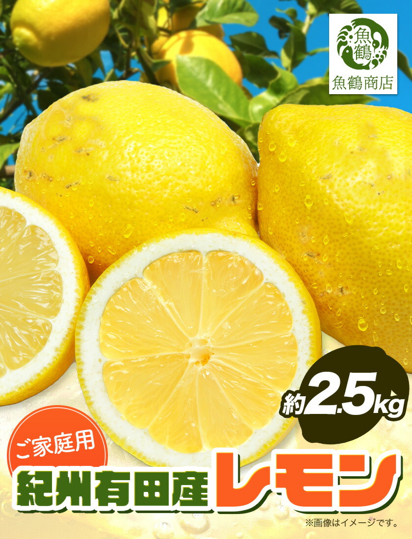 ふるさと納税 和歌山県 田辺市 天然アラスカ産 定塩紅鮭 切身２kg 厳選