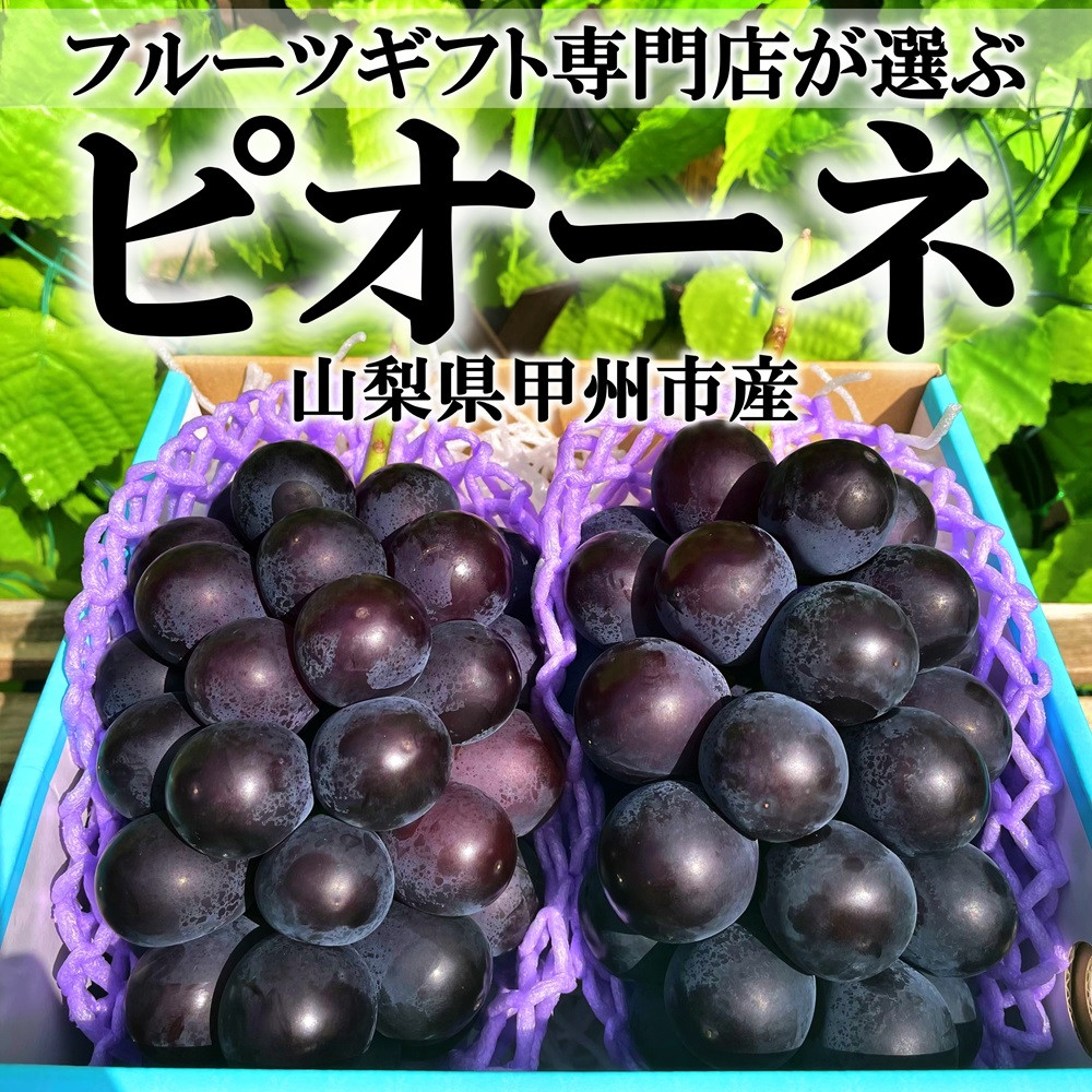 甲州市産 旬の採れたて ピオーネ 2～3房 約1kg【2024年発送