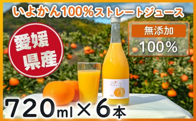 みかん いよかん ジュース 100％ ストレート 【 720ml × 6本