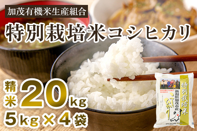 令和5年産米】新潟県加茂市産 特別栽培米コシヒカリ 精米20kg