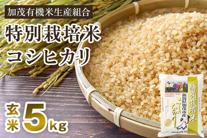 令和5年産米】新潟県加茂市産 特別栽培米コシヒカリ 玄米5kg 従来品種