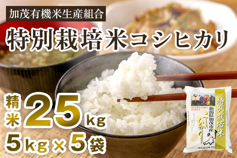ふるさと納税 三原村 令和5年産 (精白米) 特別栽培米 こしひかり10kg×2
