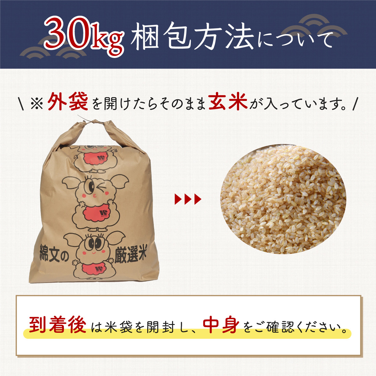 令和5年産 千葉県産エコ米「コシヒカリ」玄米30kg（30kg×1袋 