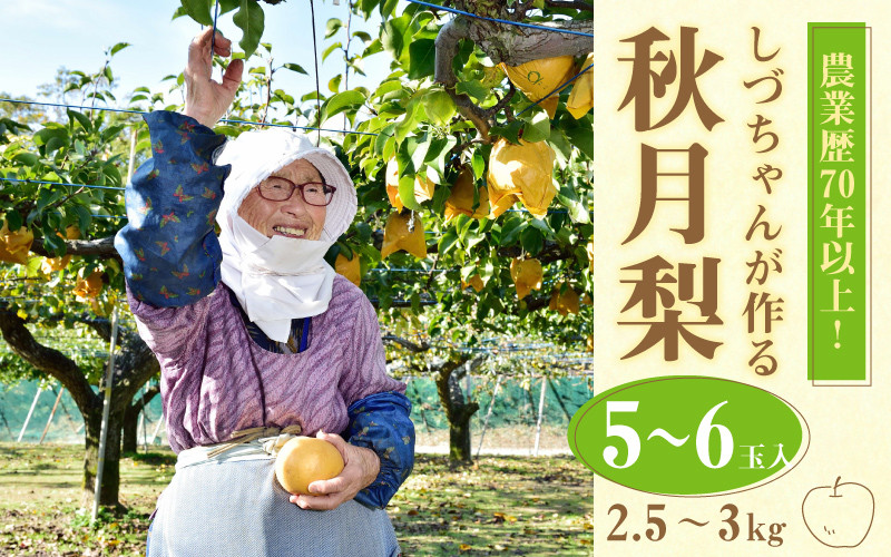 【先行予約】しづちゃんが作る秋月梨 5～6玉入（2.5～3kg） 農業歴70年以上！※2024年9月中旬より順次お届け