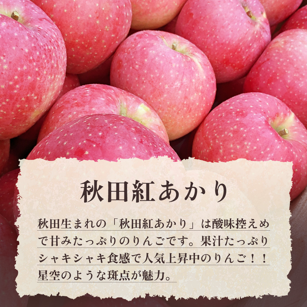 先行予約 》令和6年産 秋田県鹿角産りんご 秀品 「 秋田紅あかり 