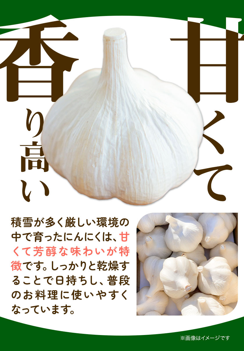 令和5年青森県産 乾燥にんにく 福地ホワイト六片 S １０ｋｇ-