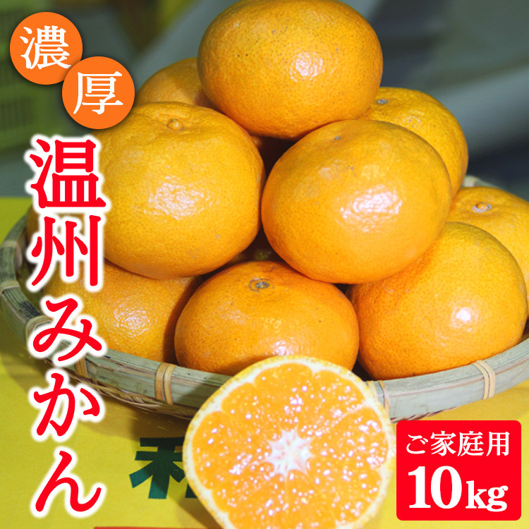 濃厚温州みかんご家庭用10kg（和歌山天田みかん）みかんの産地和歌山　※年内発送予定　ふるさと納税サイト　※着日指定不可　和歌山県美浜町｜ふるさとチョイス　北村農園直送　※2023年11月下旬頃より順次発送予定