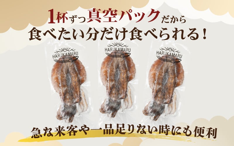 イカ お刺身で食べる 天然 アオリイカ 約1kg 活きたイカをご提供している漁師が活〆！急速冷凍 鮮度格別！若狭湾 福井 地物 海鮮 個別包装  真空パック 刺身 イカ丼 いか丼 焼きイカ 焼きいか 姿焼き 煮付け フライ 炒め物 [m36-b008] - 福井県美浜町｜ふるさとチョイス ...