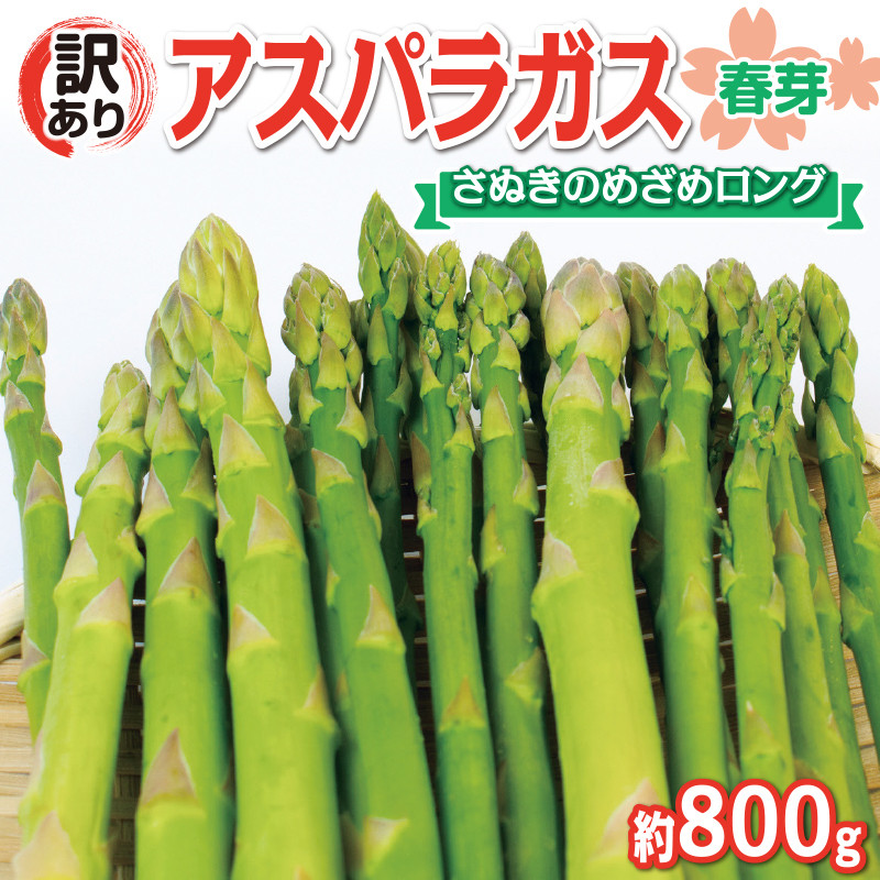 訳あり品】アスパラガス 800g 新鮮野菜 - 食品