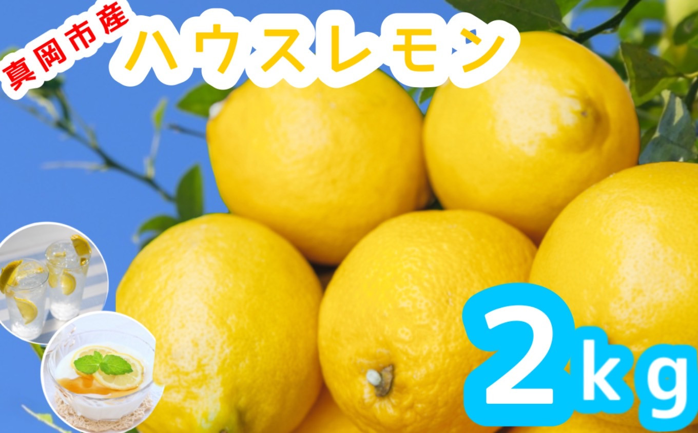 真岡市産ハウスレモン 2kg 真岡市 栃木県 送料無料 - 栃木県真岡市