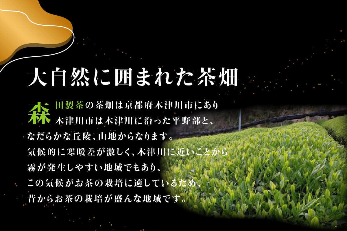 森田製茶】 神ちょこ贈答用 抹茶[1箱(12粒入り)] 京番茶[1箱(12粒入り