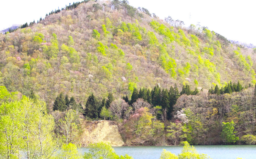 写真は5月頃、山桜の季節の西和賀の景色です