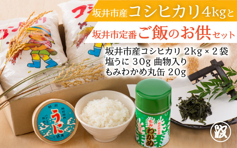 屋我地島の塩 沖縄の塩 250g×3個 - 調味料・料理の素・油