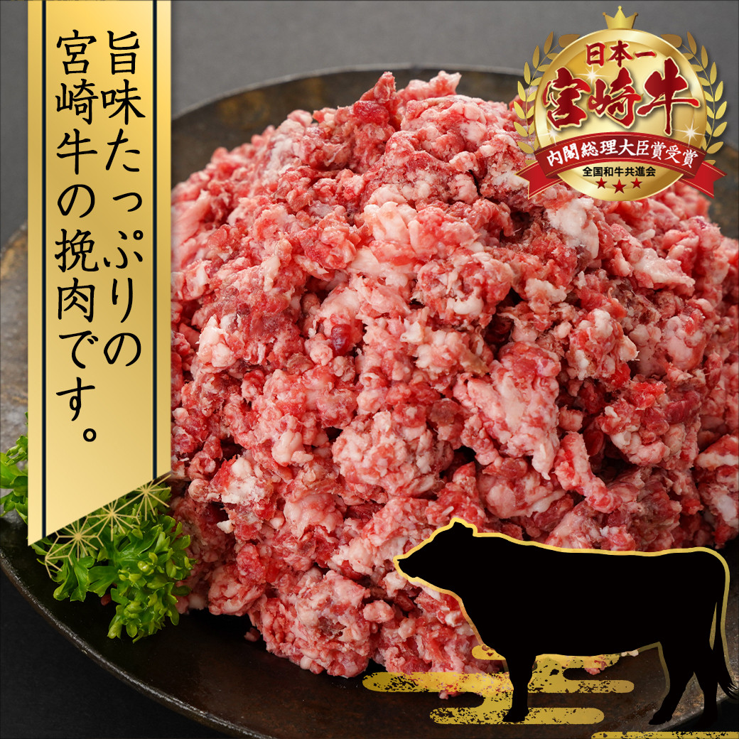 宮崎牛の挽肉1kg (500g×2パック)_18-7701_(都城市) 宮崎牛 挽肉 1kg