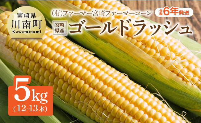 【令和6年産】(有)ファーマー宮崎 ファーマーコーン宮崎県産とうもろこし「ゴールドラッシュ 」12～13本 宮崎県産スイートコーン【 先行予約  数量限定 とうもろこし 2024年発送 トウモロコシ スィートコーン 期間限定 先行受付 】