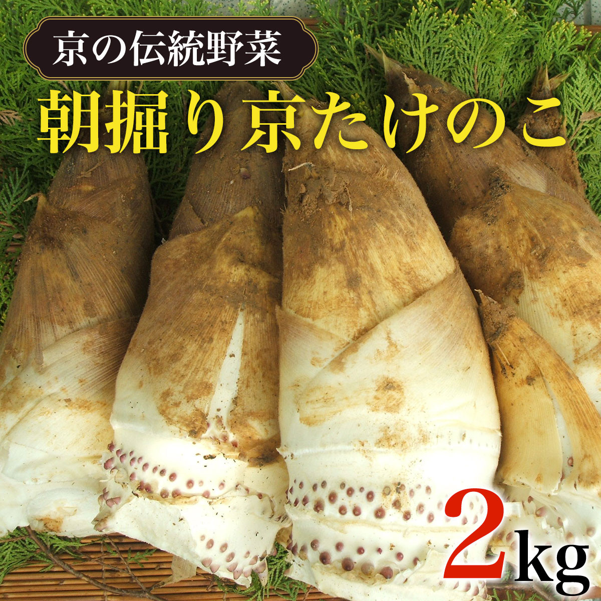 2025年3月中旬より順次発送予定】【京の伝統野菜】朝掘り京たけのこ ２kg ふるさと納税 京都 竹の子 筍 たけのこ タケノコ 朝掘り 料亭 逸品  やわらかい 春 味覚 京都府 長岡京市 NGL001 - 京都府長岡京市｜ふるさとチョイス - ふるさと納税サイト