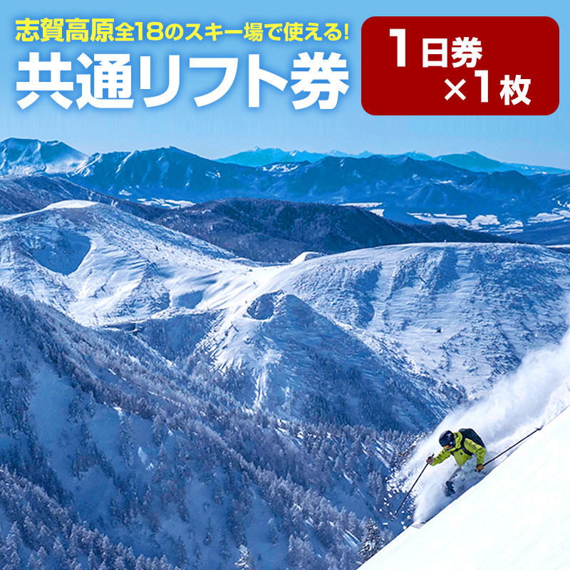 箱館山スキー場 リフト・ゴンドラ 1日券 引換券 2枚 - スキー場