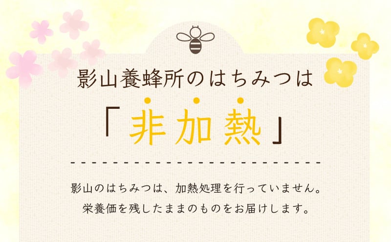 はちみつ 国産 蜂蜜 非加熱 純度100% 1kg 500g × 2本 （ ふるさと