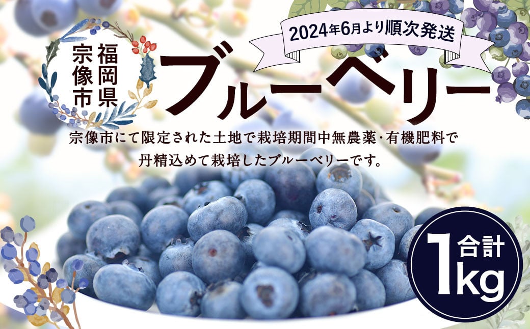 栽培期間中農薬・有機肥料で丹精込めて栽培した「ブルーベリー」1kg 国産_HA0273