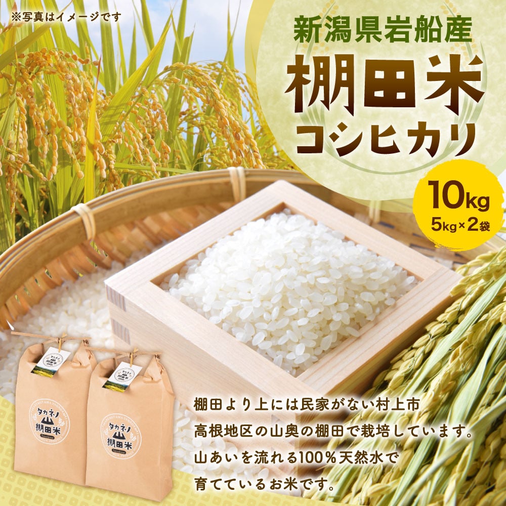 B4035 【令和6年産米】新潟県岩船産 棚田米 コシヒカリ 5kg×2 - 新潟県村上市｜ふるさとチョイス - ふるさと納税サイト