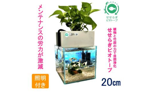 水槽セット せせらぎビオトープ 20cm型照明 植物 魚 (グレー）※2025年3月20日まで北海道への発送不可（低温で商品が枯れるため） -  広島県東広島市｜ふるさとチョイス - ふるさと納税サイト