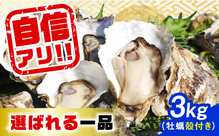 1月26日（金）着】特選 牡蠣三昧！【生牡蠣】広島牡蠣 殻付き3kg 牡蠣