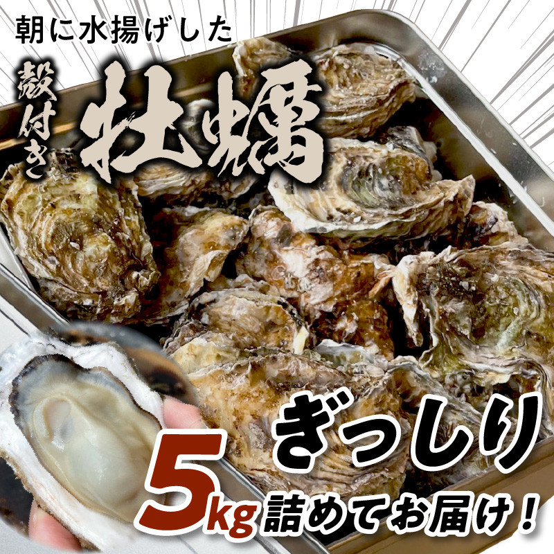 牡蠣小屋直送／殻付き牡蠣5kg 約50個 水揚げ殻付き牡蠣（生牡蠣・加熱