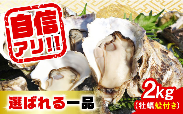 【3月30日（土）着】特選 牡蠣三昧！【生牡蠣】広島牡蠣　殻付き２kg 牡蠣 かき カキ 生牡蠣 殻付き 広島  江田島市/株式会社門林水産[XAO008]