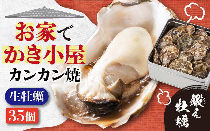 ふるさと納税 【TVで紹介！】 牡蠣 大粒 3〜4年モノ 生食 殻付き牡蠣