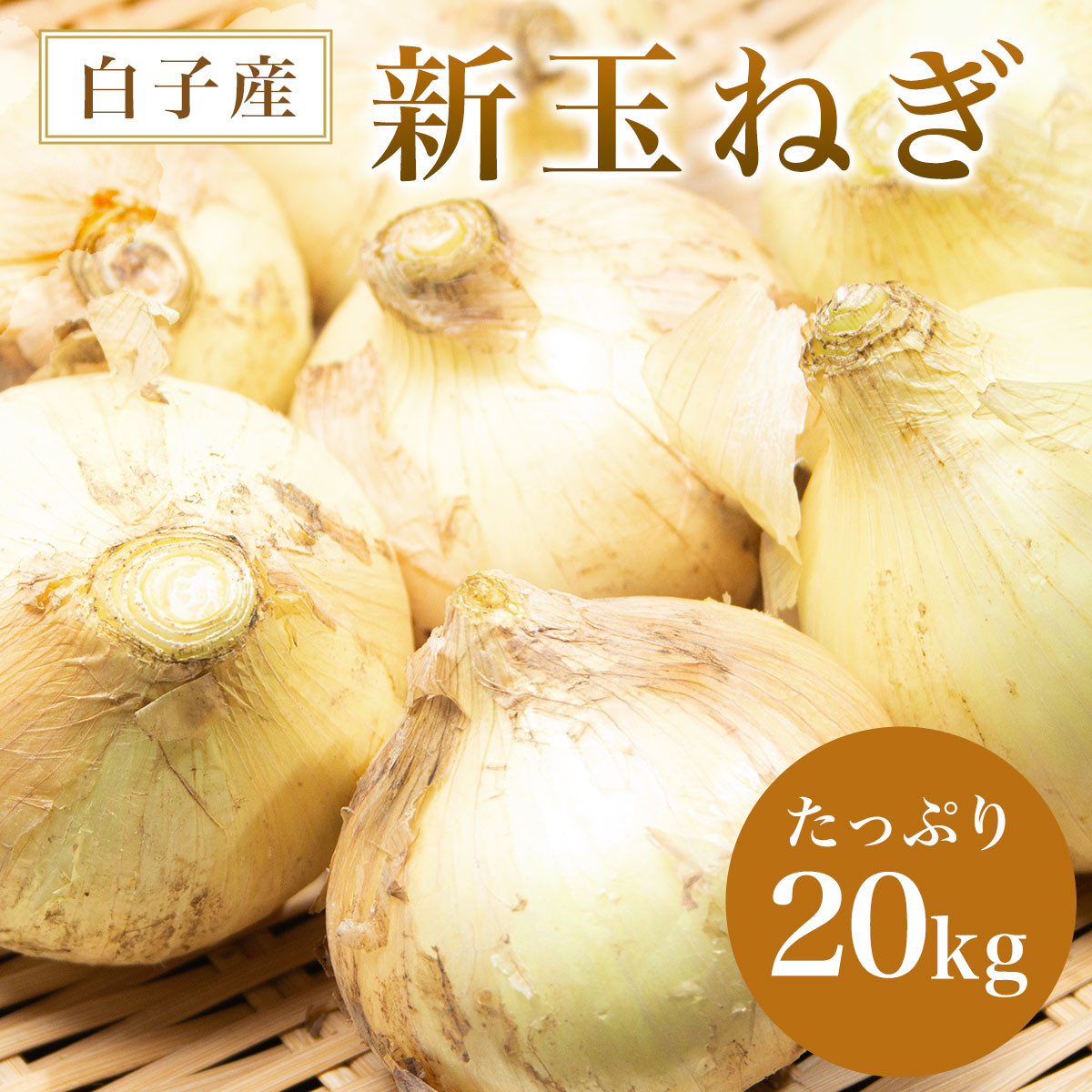 令和6年 先行予約】白子産 新玉ねぎ 20kg ふるさと納税 たまねぎ