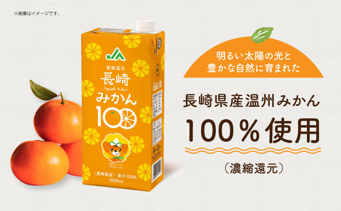 みかんジュース 紙パック 1000ml×6パック 佐賀県産みかん 新品未開封 